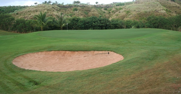 Диагностика и лечение выпадения волос