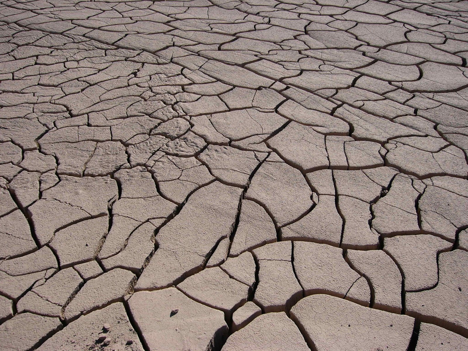 Лечение атопического дерматита и экземы